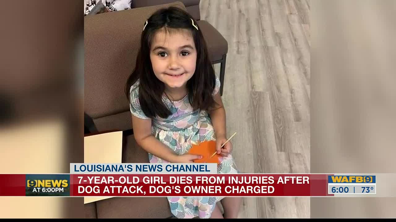 Louisiana Girl 7 Dies After Pit Bull Attack Dog s Owner Arrested BNR