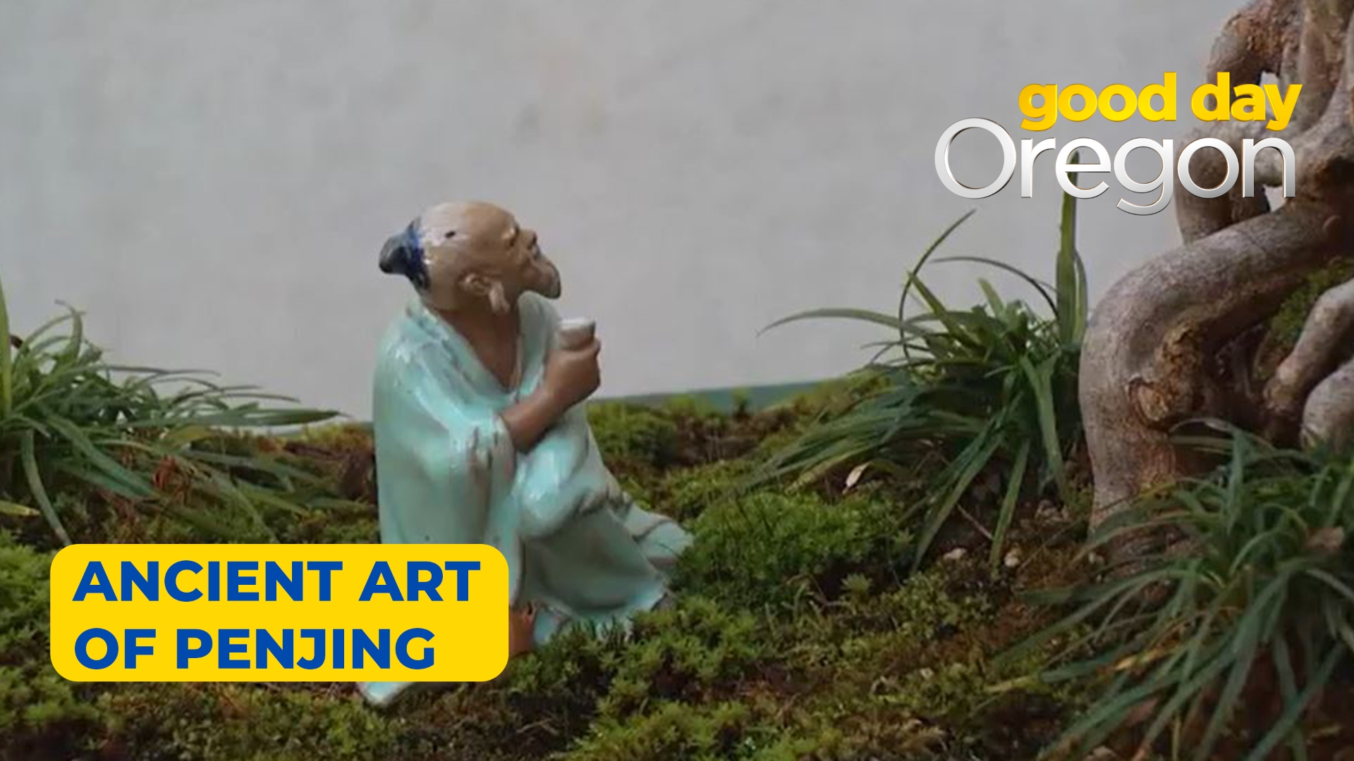 Plant Notes – Clifford Hui's Chinese Garden, image size:1920x1080