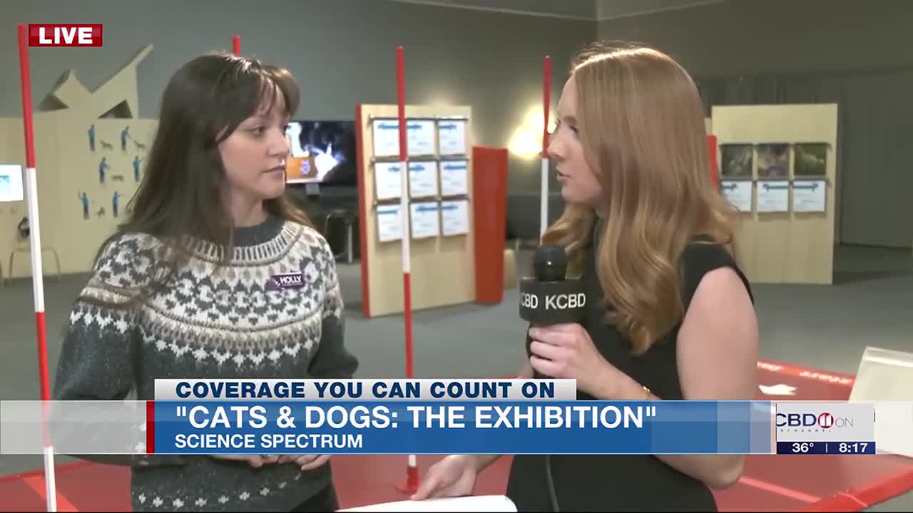 Cats & Dogs: The Exhibition at Science Spectrum