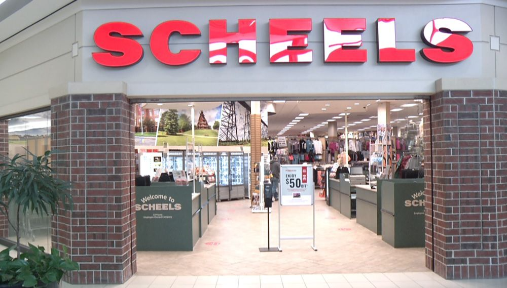 scheels vans