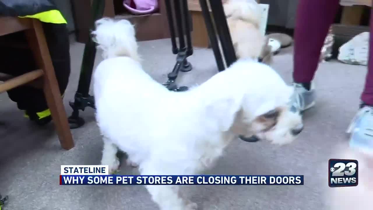 Are Puppy Mills Illegal In Illinois