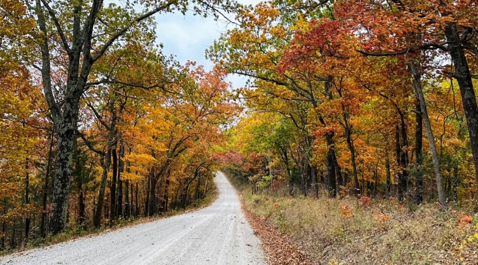 Fact Finders: The reason the Mark Twain National Forest looks like a  patchwork park on the map, image size:1614x897