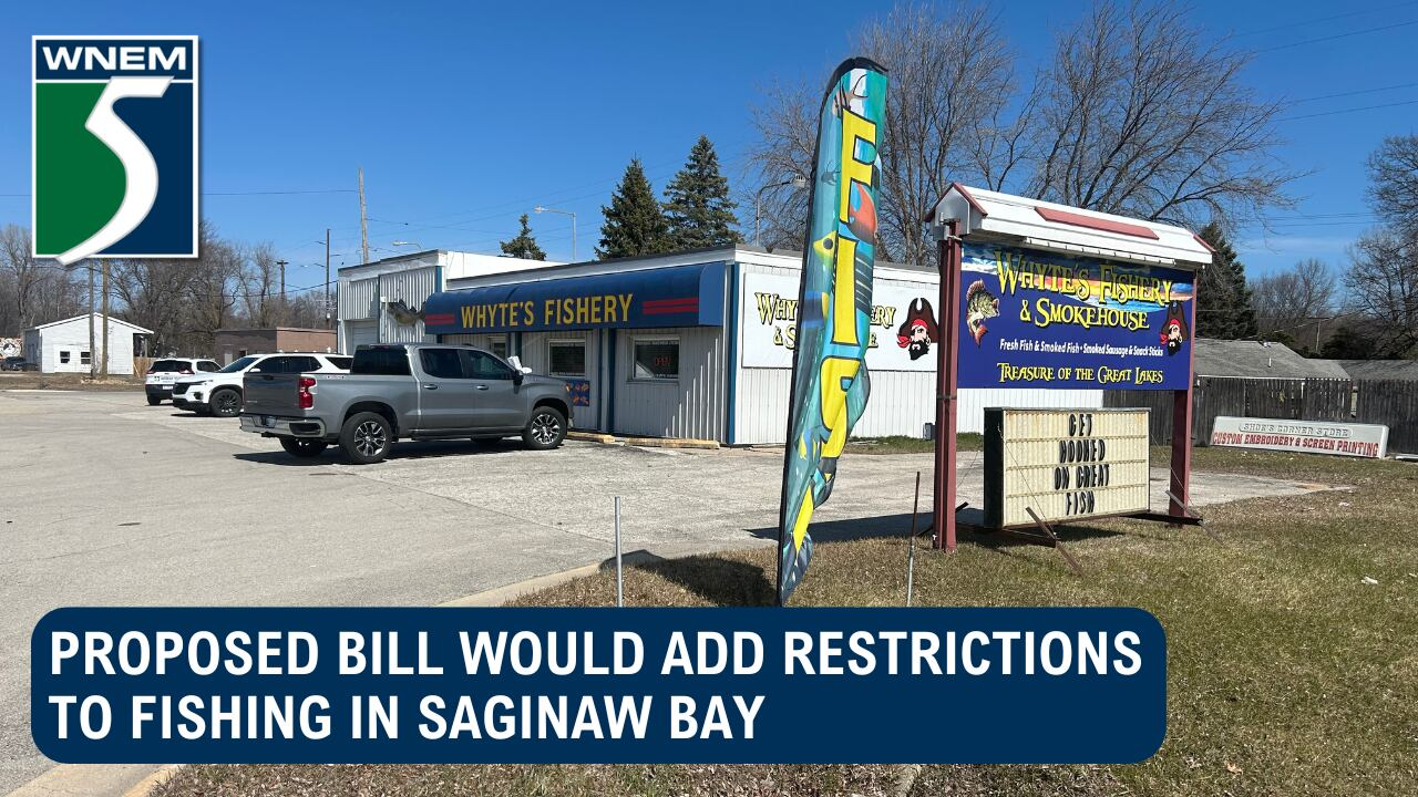 Proposed bill would add restrictions to fishing in Saginaw Bay