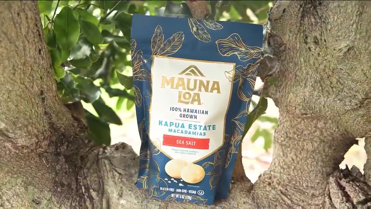 Mauna Loa celebrates 50 years with launch of Kapua Estates