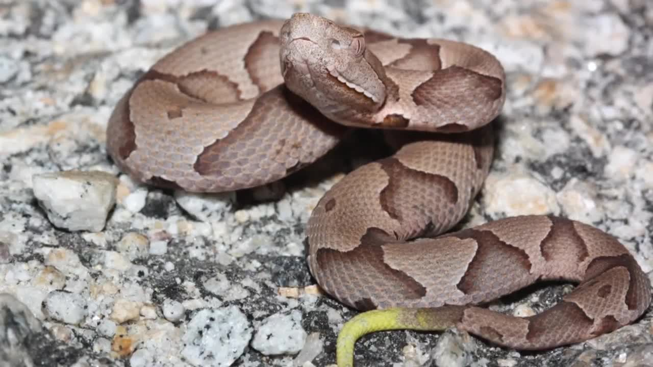 t_b775e8d51fef460ca27b12f0d273