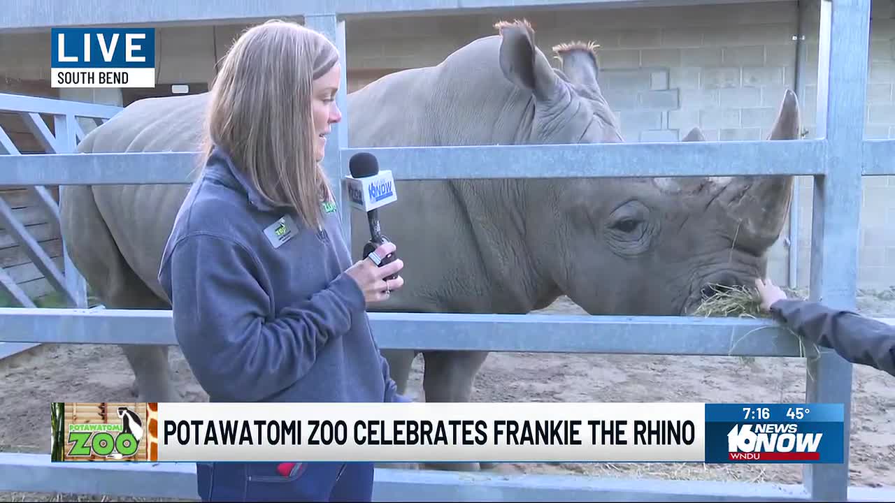 Southern White Rhino at Potawatomi Zoo