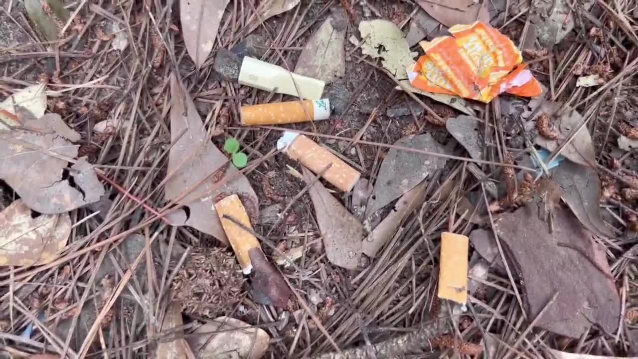 Cigarette Litter Prevention Program | City Of Port St. Lucie, FL Australia