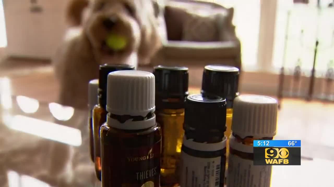 Can Essential Oils Cause Liver Damage In Dogs