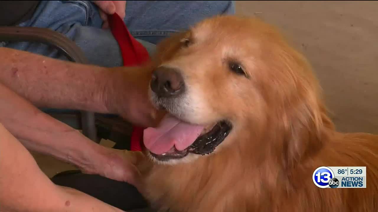 Toledo Couple Adopts Dog Saved From Slaughterhouse In China