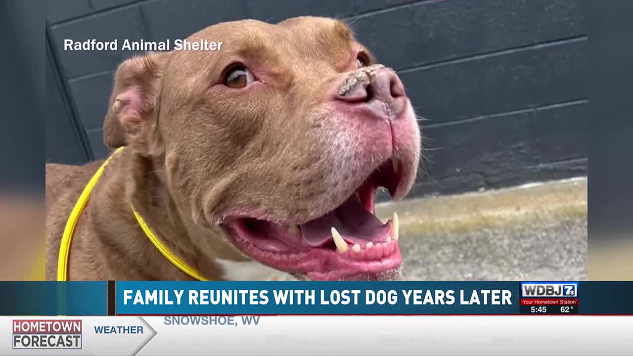 Family Reunites With Dog Years After Losing Him