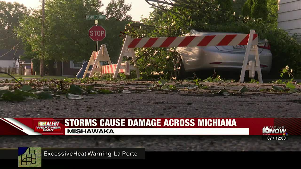 Storm Causes Trees To Fall On Cars And Power Lines In St Joseph County