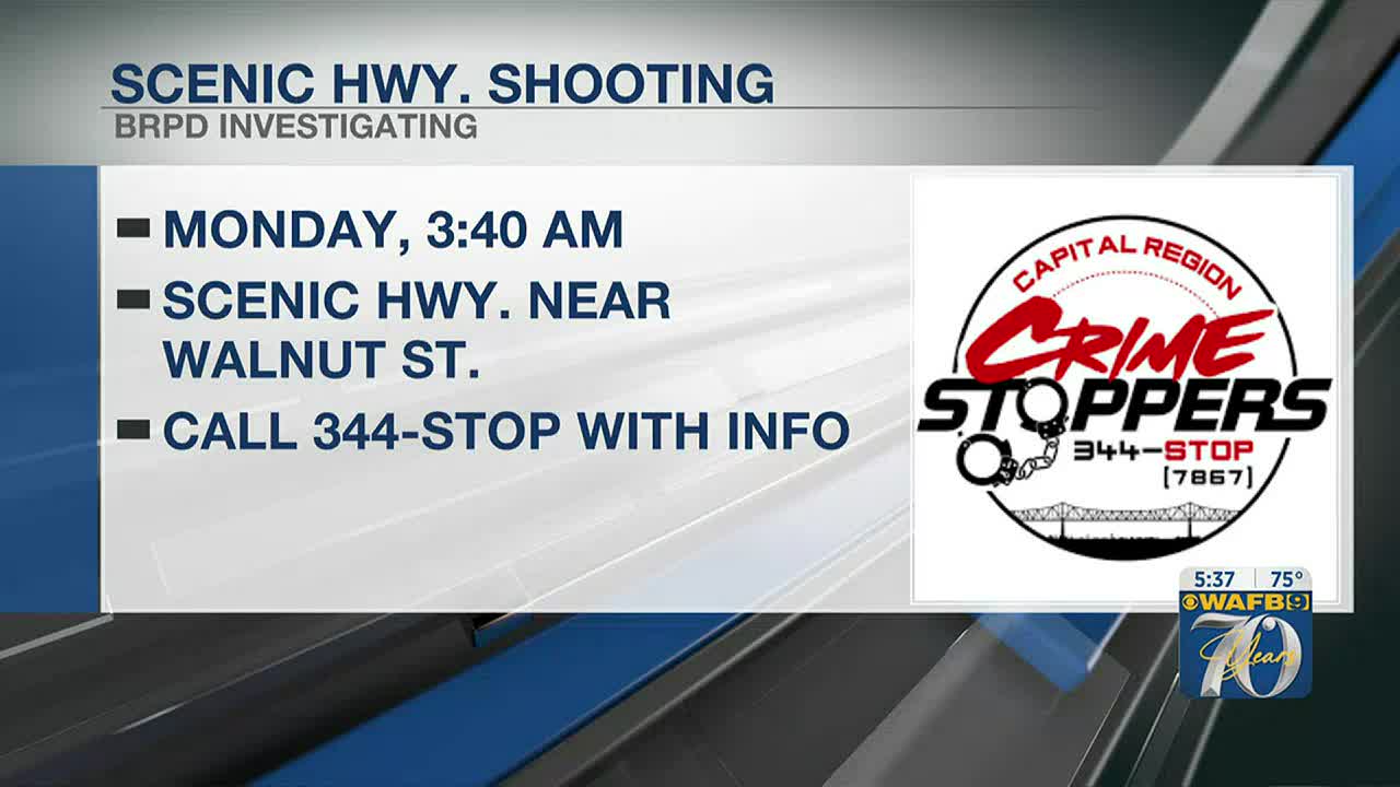 CRIME STOPPERS: Pedestrian fired shots at elderly driver while walking