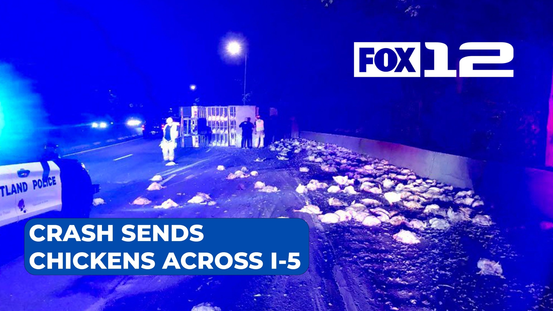Semi-truck rollover sends chickens spilling across I-5 in Portland