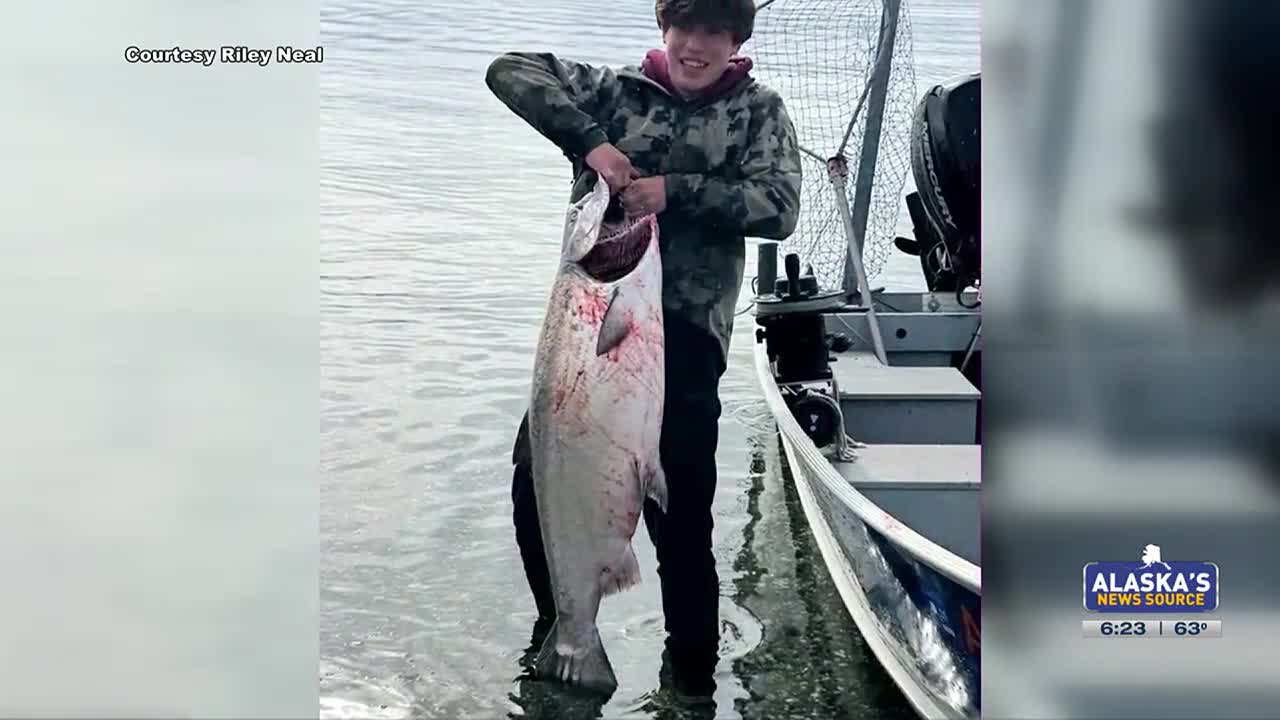alaska salmon fishing reels Reel Action Lodge Being a Better Spin-Caster -