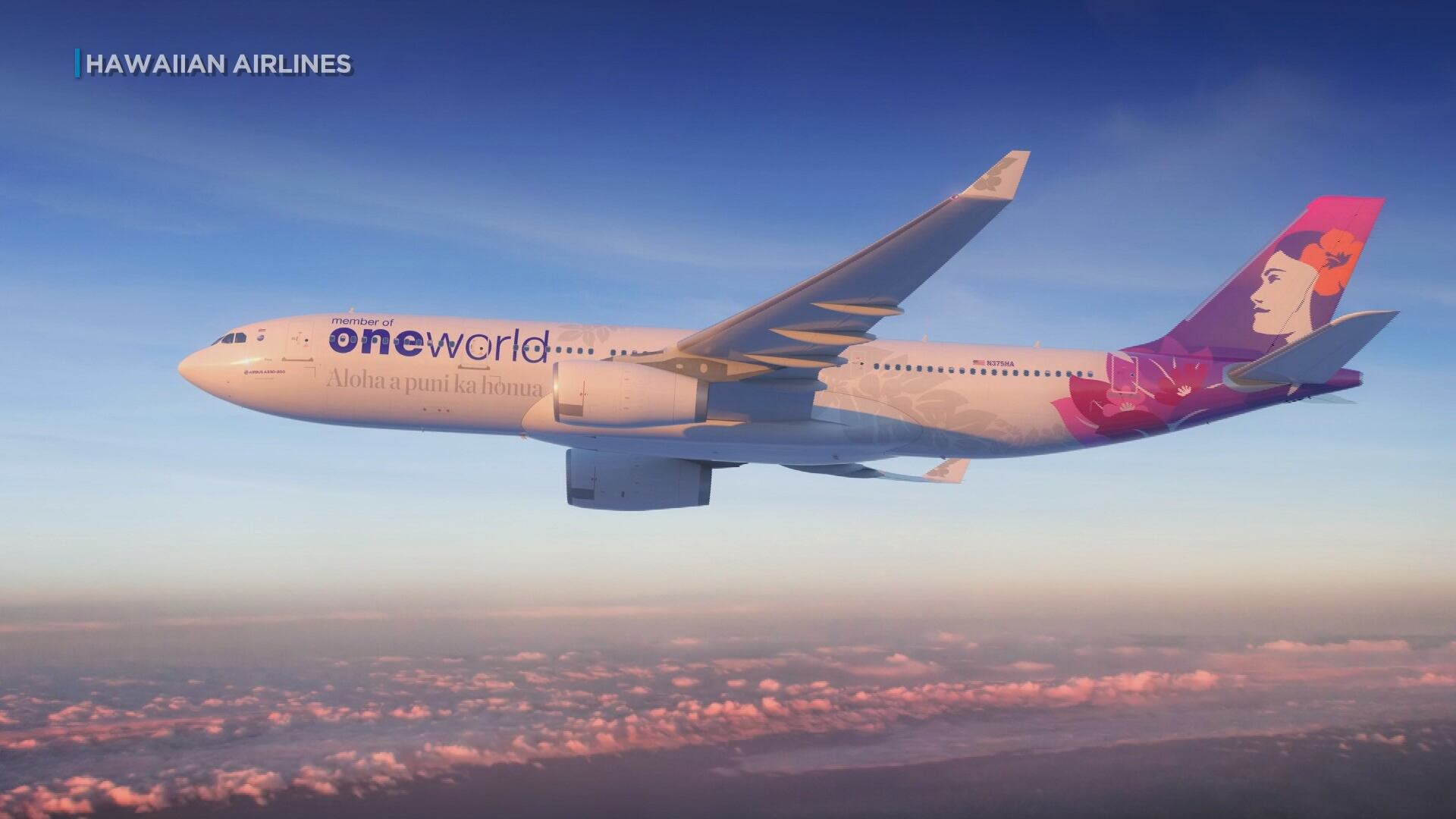 New Hawaiian Airlines A330 design marks oneworld alliance