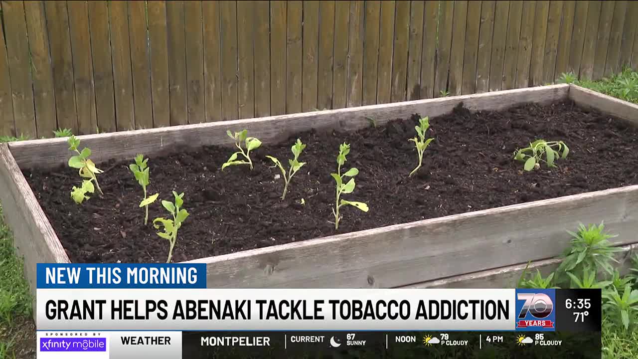 Abenaki Nation of Missisquoi receives tobacco education funding