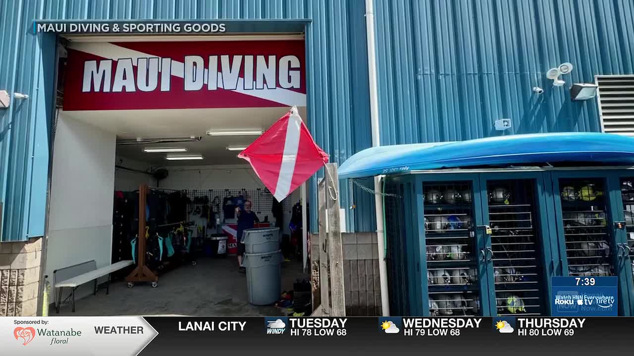 その他 ewalushop Lahaina dive shop to reopen after nearly three-year closure