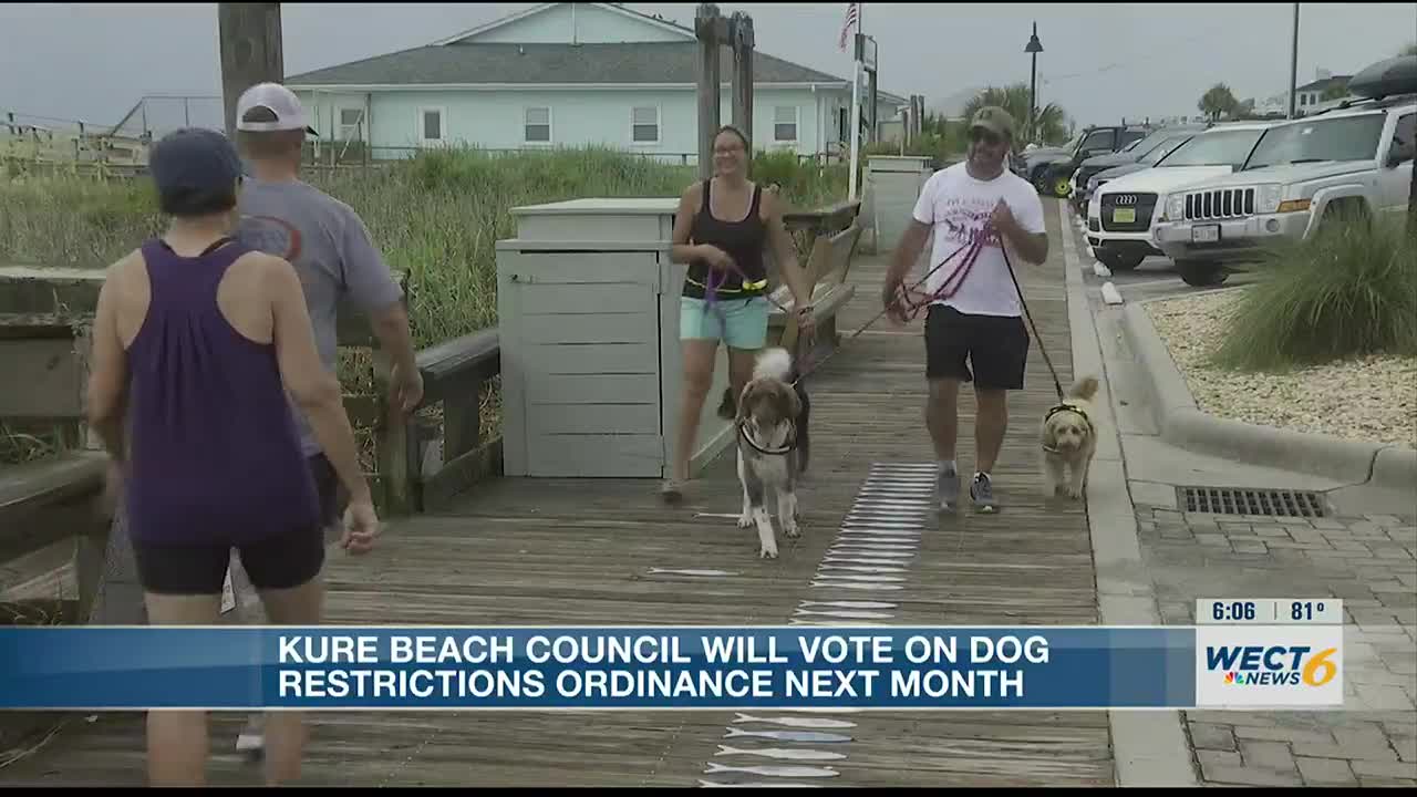 Is Kure Beach Dog Friendly