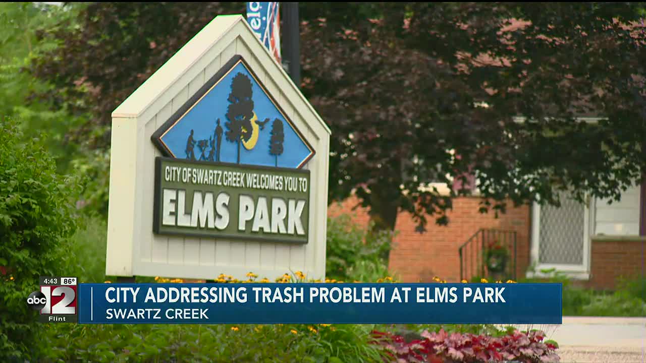 Swartz Creek Dealing With Repeated Messes At Elms Park