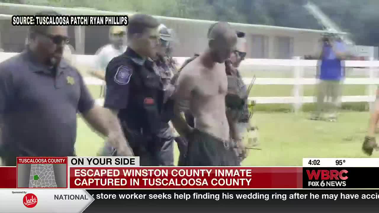Tuscaloosa County Jail Inmate Search