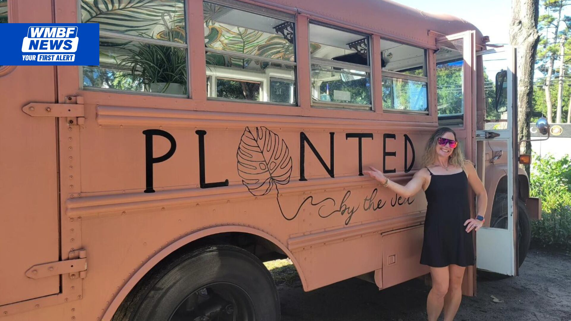 This Is Carolina: Woman turns bus into pop up plant shop