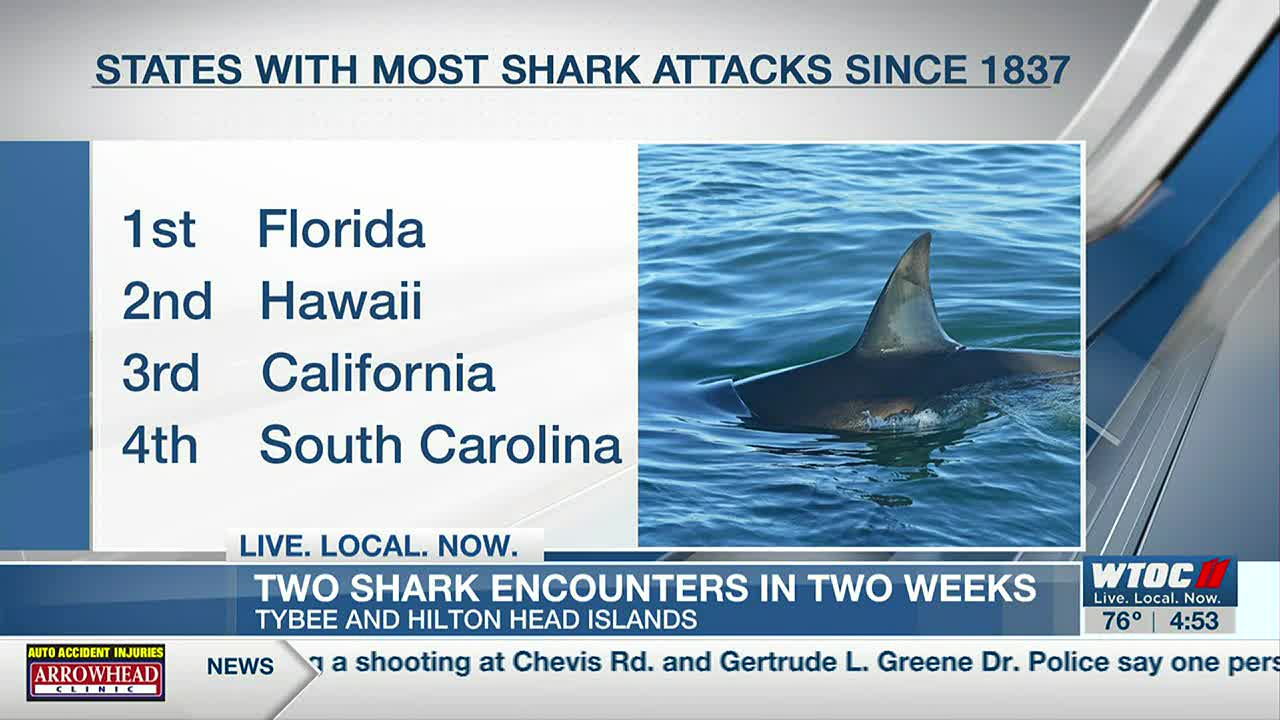 No Reason To Panic After Two Shark Bites In Two Weeks