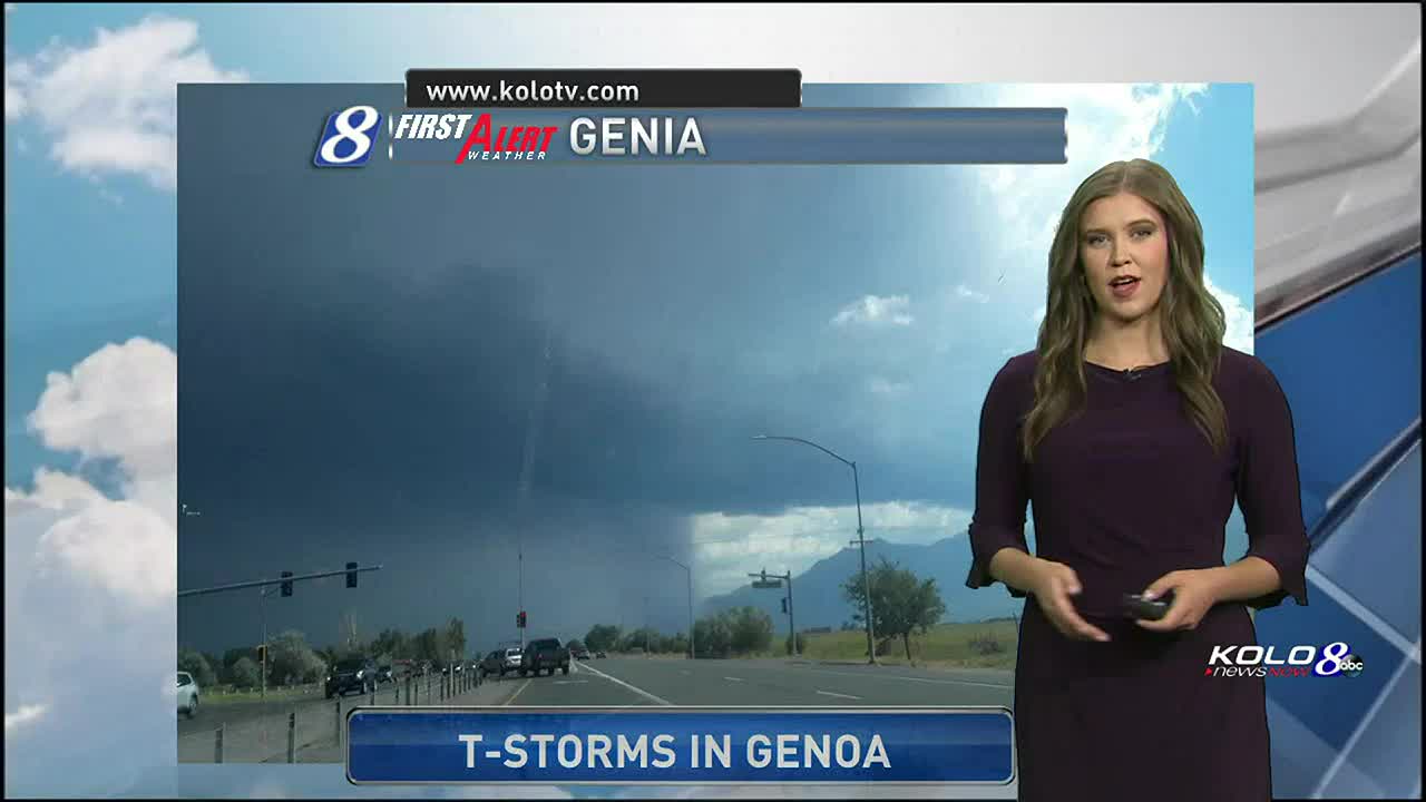 Ashley's forecast - clipped version