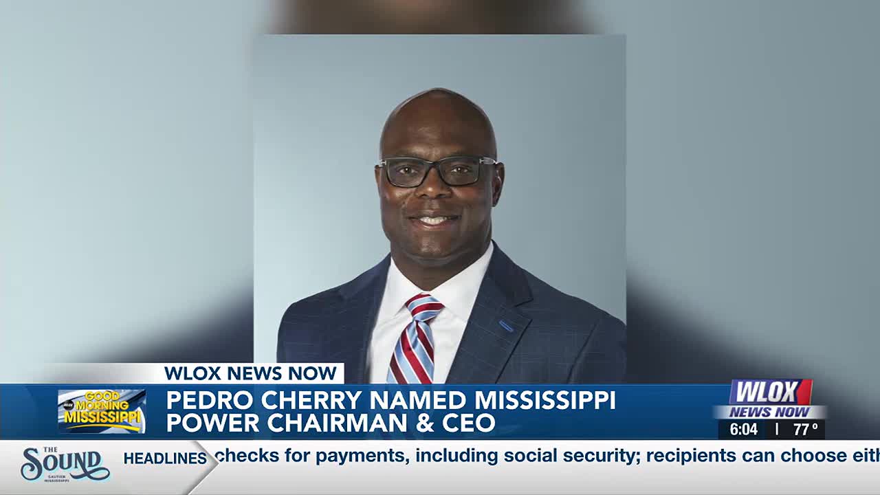 CEO)　割栗石(茶)　300kg Mississippi Power welcomes new CEO