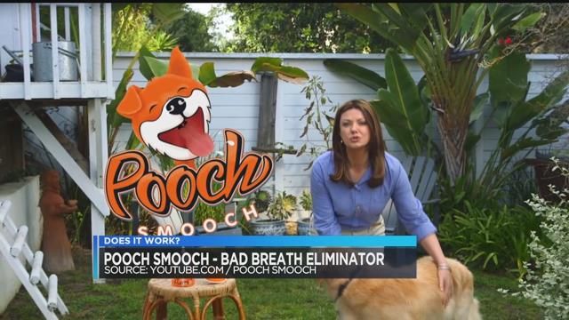 pooch smooch brush
