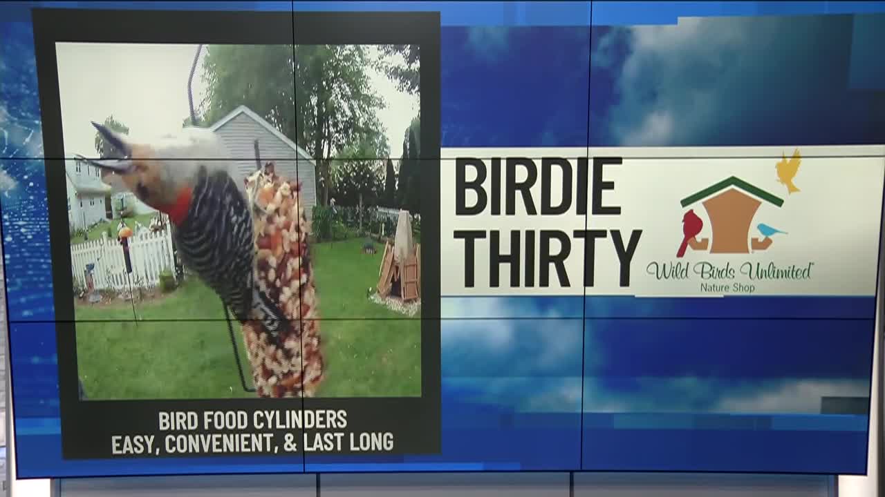 How Long Does Bird Food Last: Ultimate Guide to Freshness