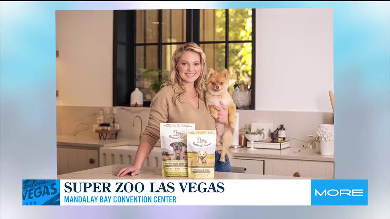 Actress Katherine Heigl talks pets and dog food brand, image size:1280x720