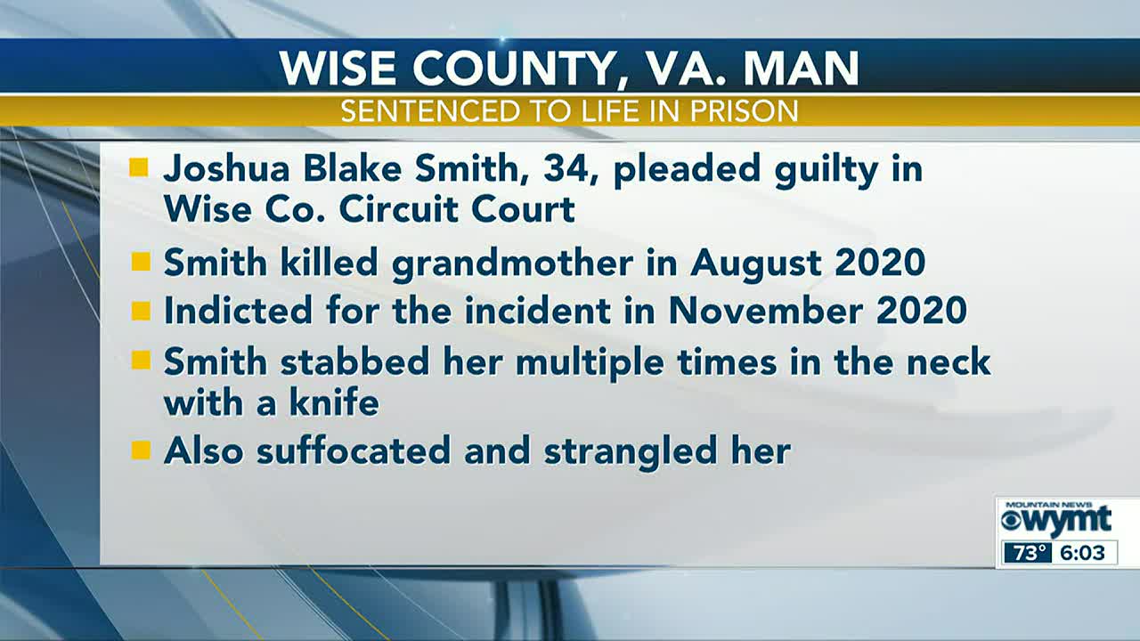 Wise County man pleads guilty to murder charges