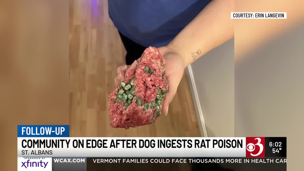 St. Albans dog owners on edge after suspected intentional poisoning