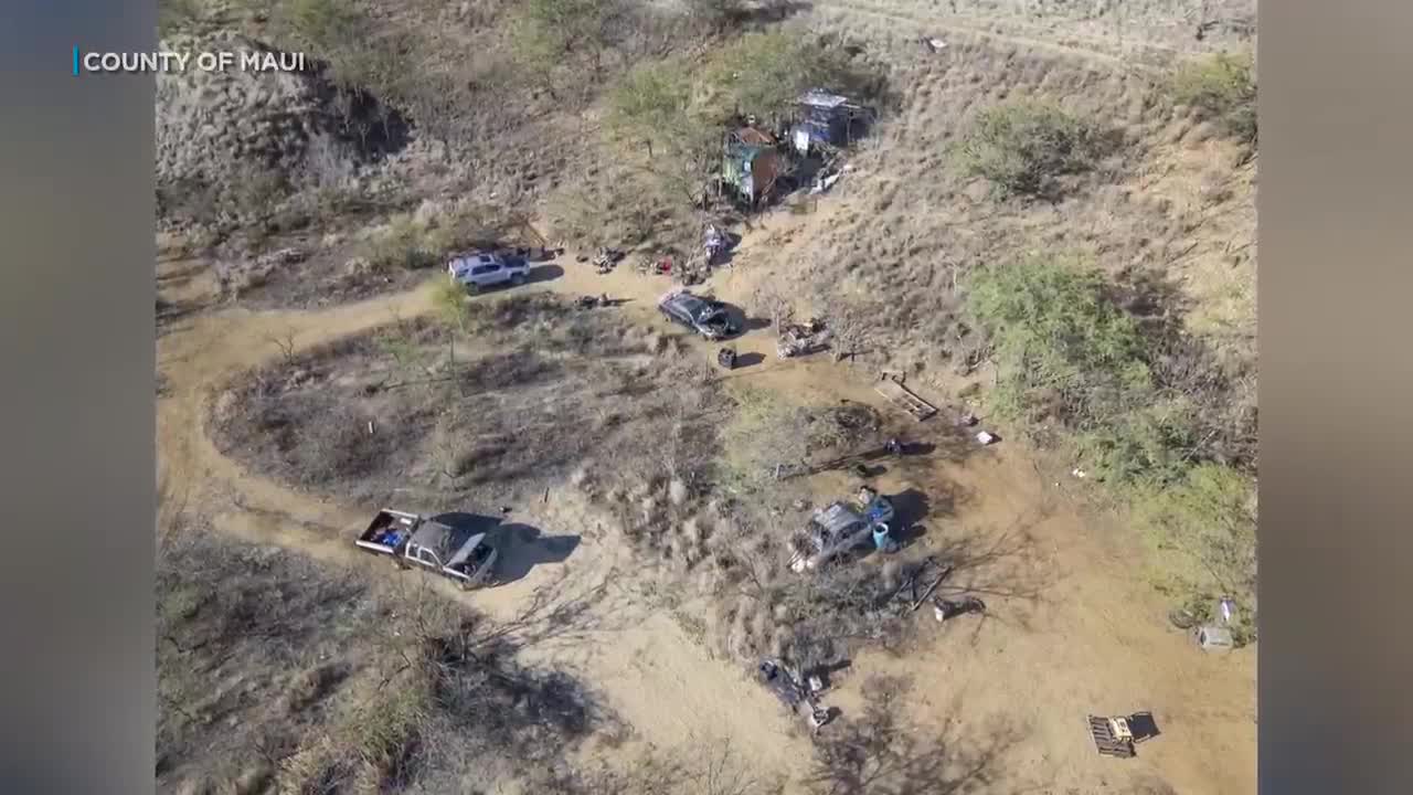 Maui crews to remove wildfire hazards near elementary school