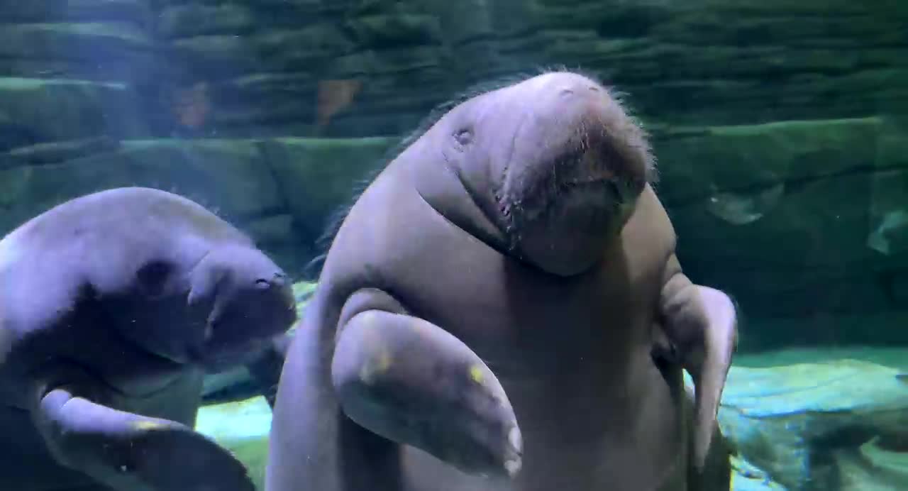 t_0a44a7cd5df84cd3af4b9234fe96