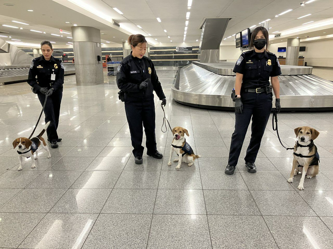 Are Dogs Allowed In The Atlanta Airport
