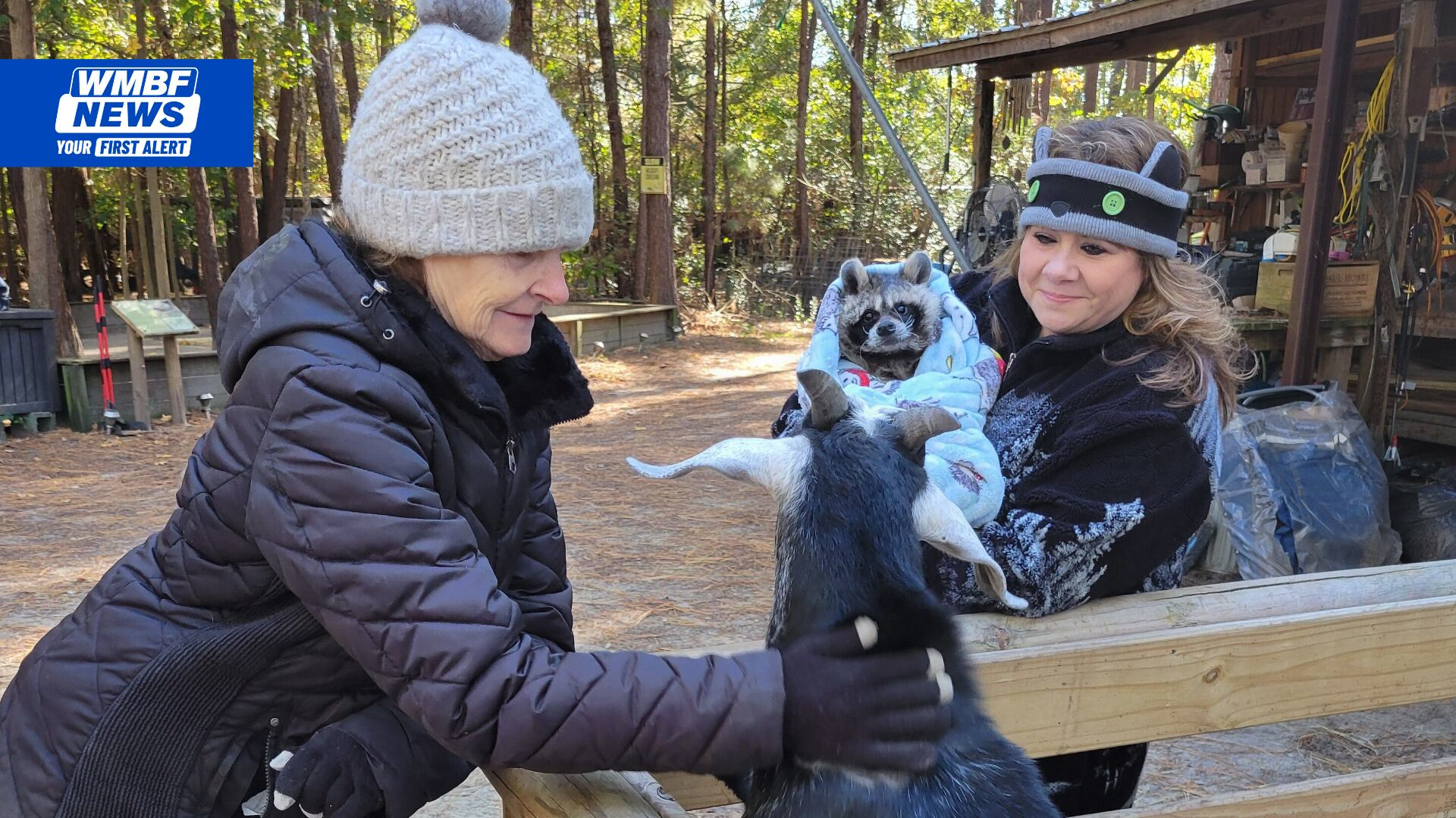 This Is Carolina: The wildlife haven giving animals a second chance