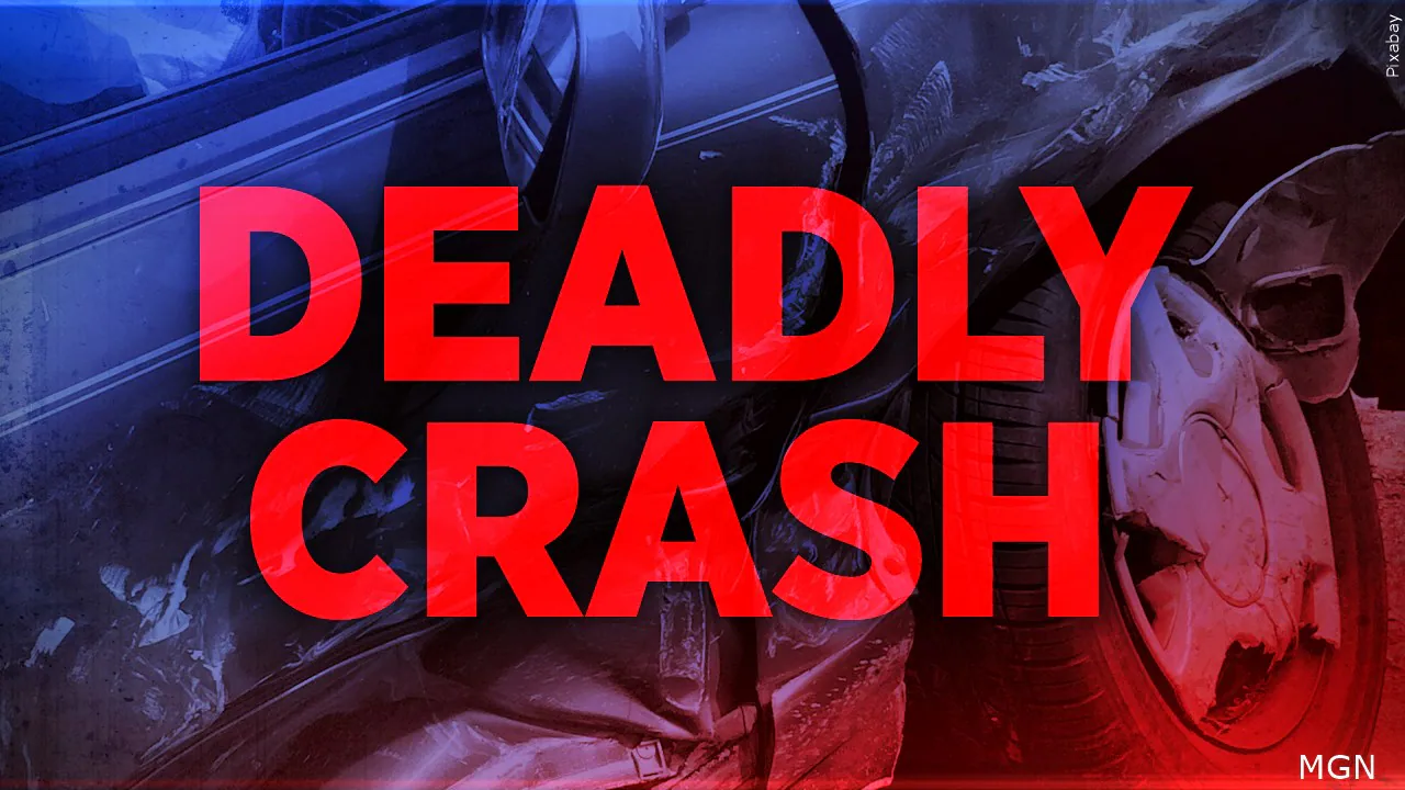 Driver dies in single-car crash on Columbus County highway