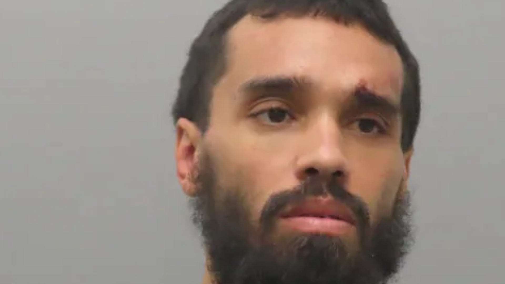 Man accused of killing grandmother, stabbing dogs in St. Louis County