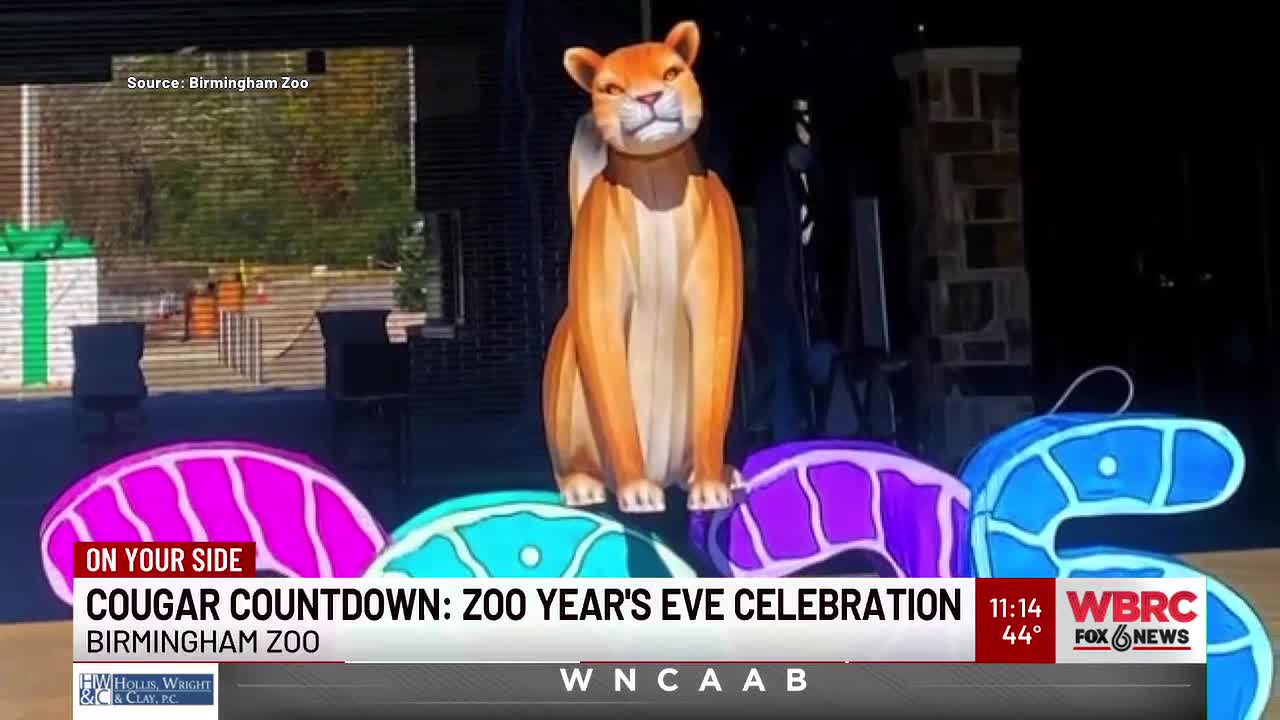 Cougar Countdown: Zoo Year's Eve Celebration