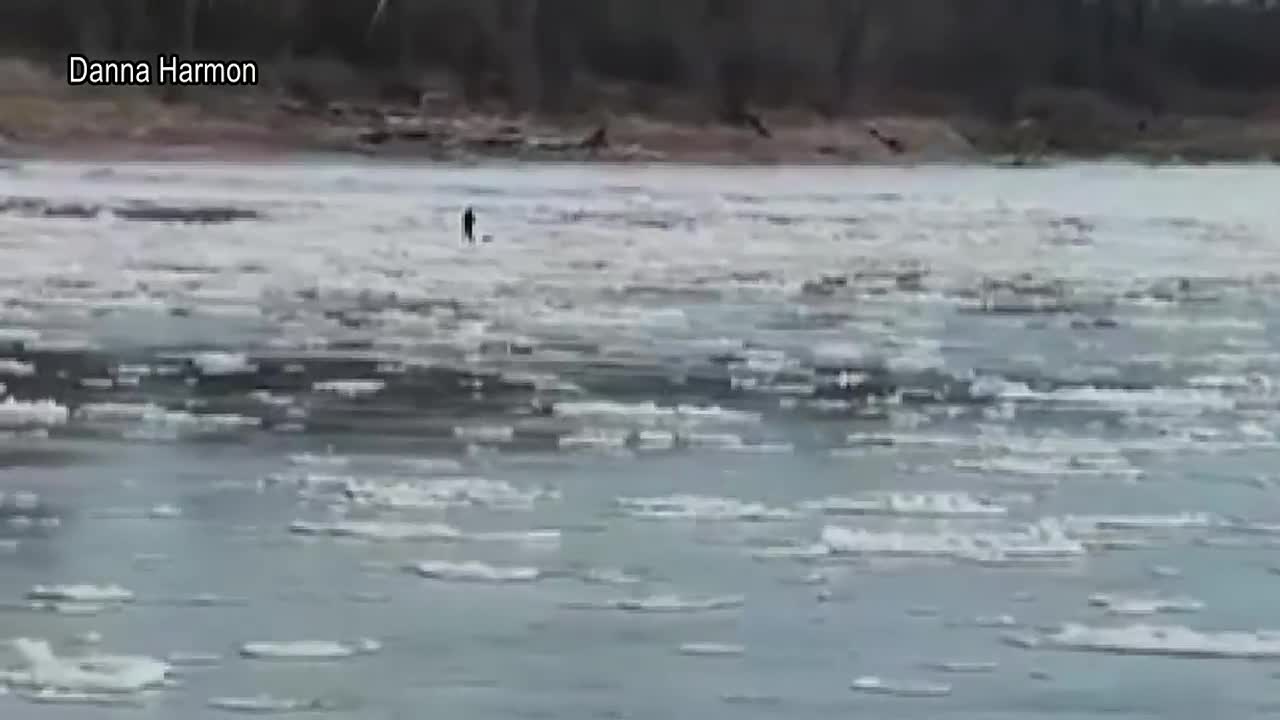 Search continues for  