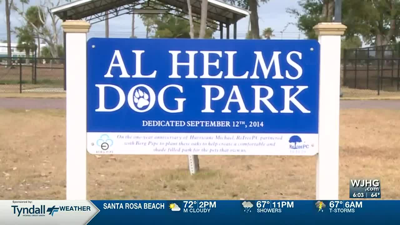 Are Dog Allowed At Tyndall Park